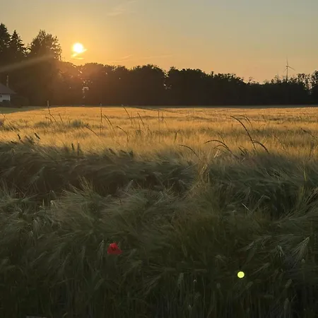 度假居 Wernsdorf 格劳豪