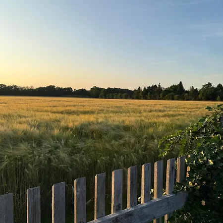 In Glauchau, Garten, Grillmoeglichkeit, Privatparkplatz, Kaffeevollautomat, Wlan, Netflix