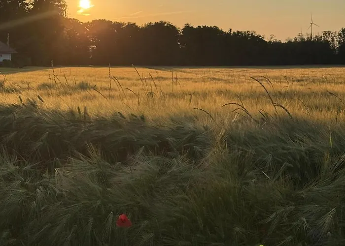 Holiday home In Glauchau, Garten, Grillmoeglichkeit, Privatparkplatz, Kaffeevollautomat, Wlan, Netflix Glauchau