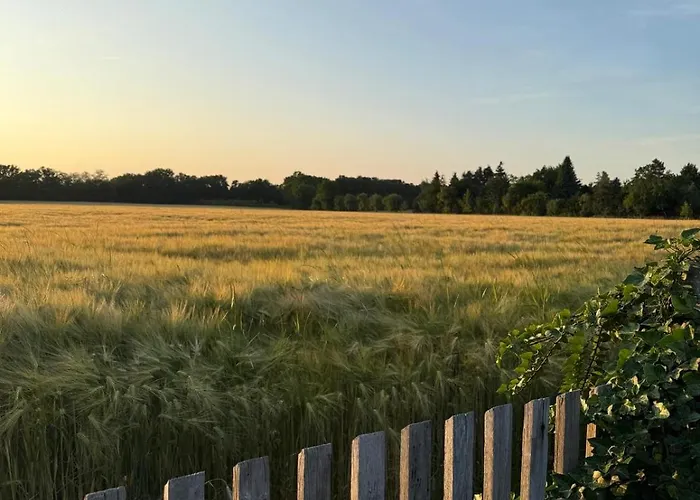 In Glauchau, Garten, Grillmoeglichkeit, Privatparkplatz, Kaffeevollautomat, Wlan, Netflix